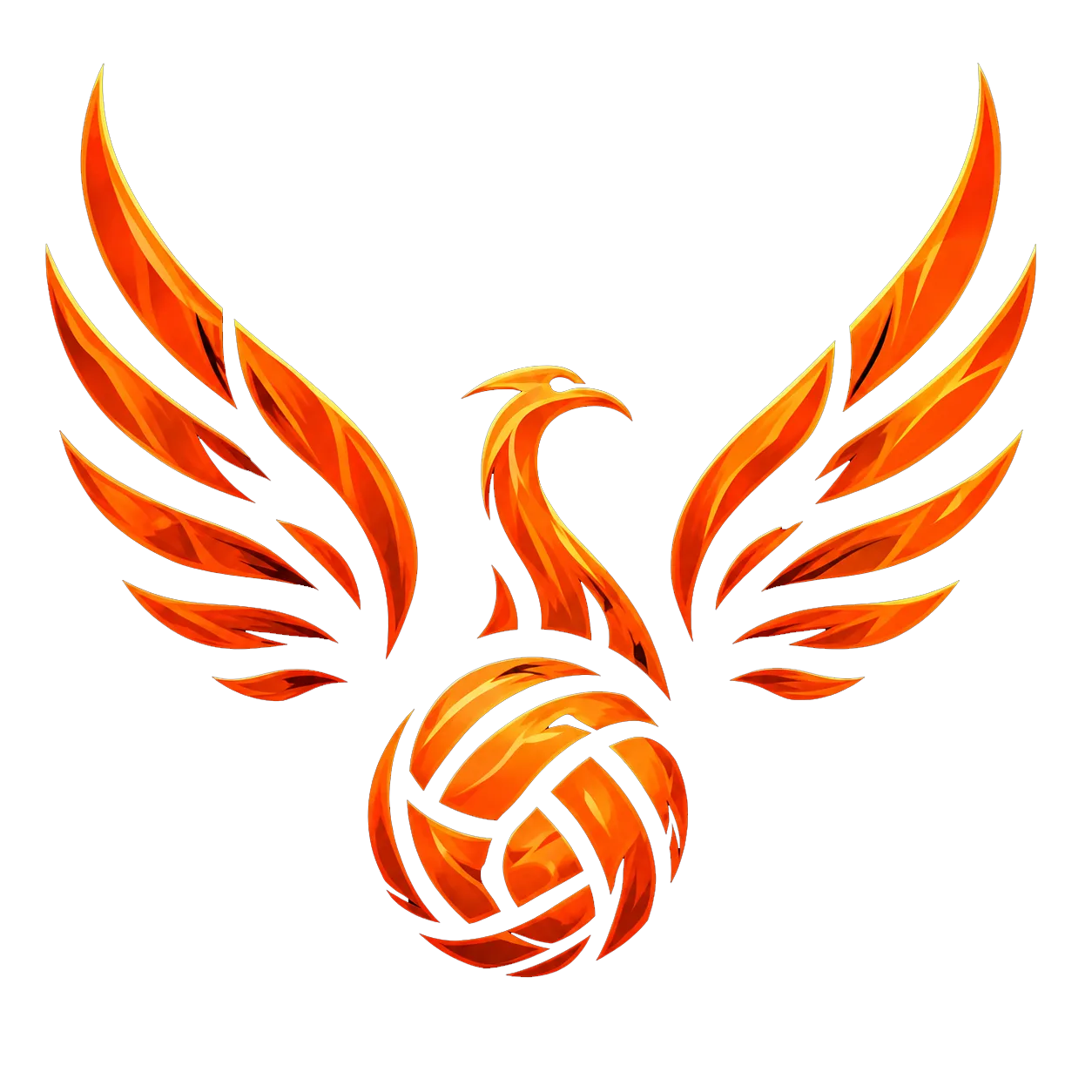 Embers Volleyball Club